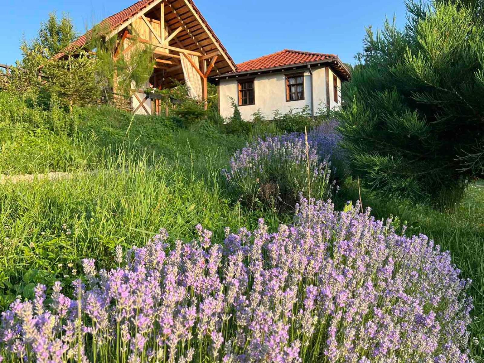 Traditional Cottage - Vila Samovila Delcevo Экстерьер фото